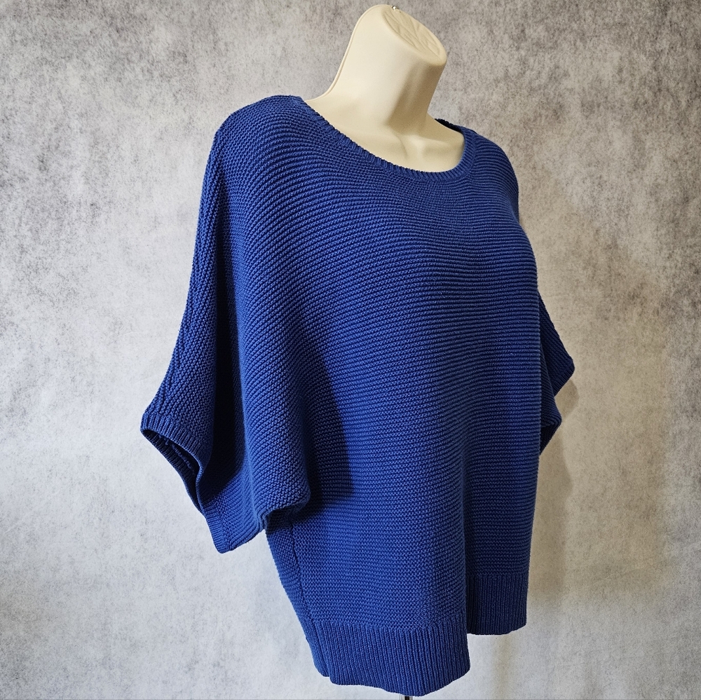 Chaus Knit Pullover Sweater with Seamless Shoulder - Picture 4 of 8